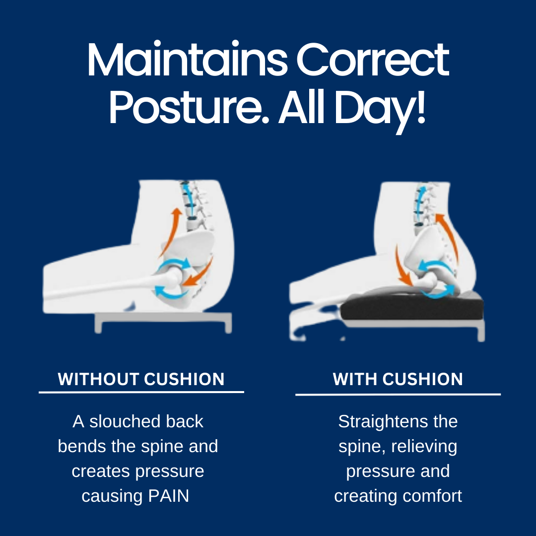 Orthopedic Coccyx Support Seat Cushion