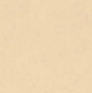 Suede fabric texture